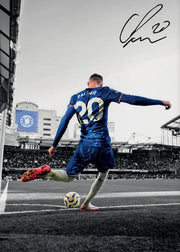 23
